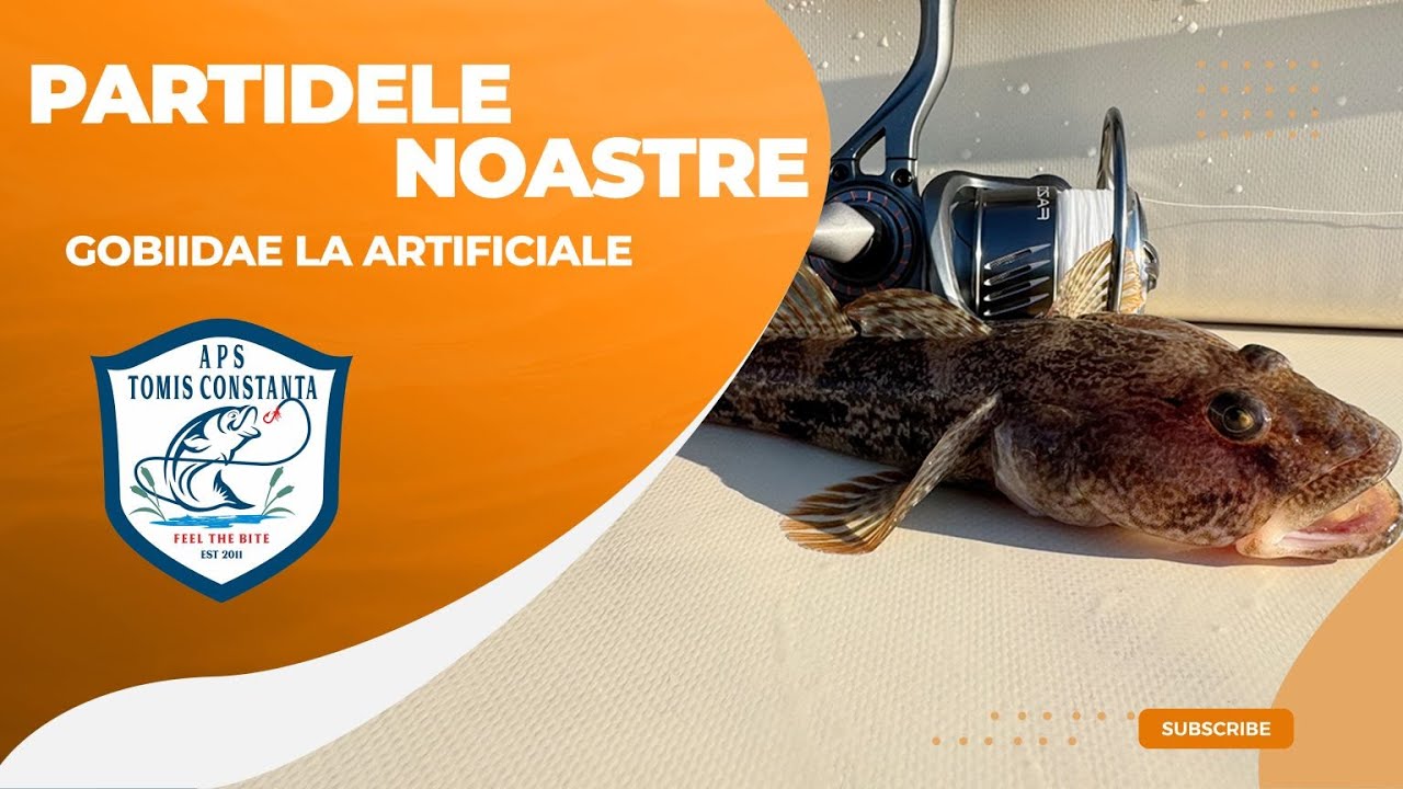 Mare Neagra, guvizii si drop-shot-ul