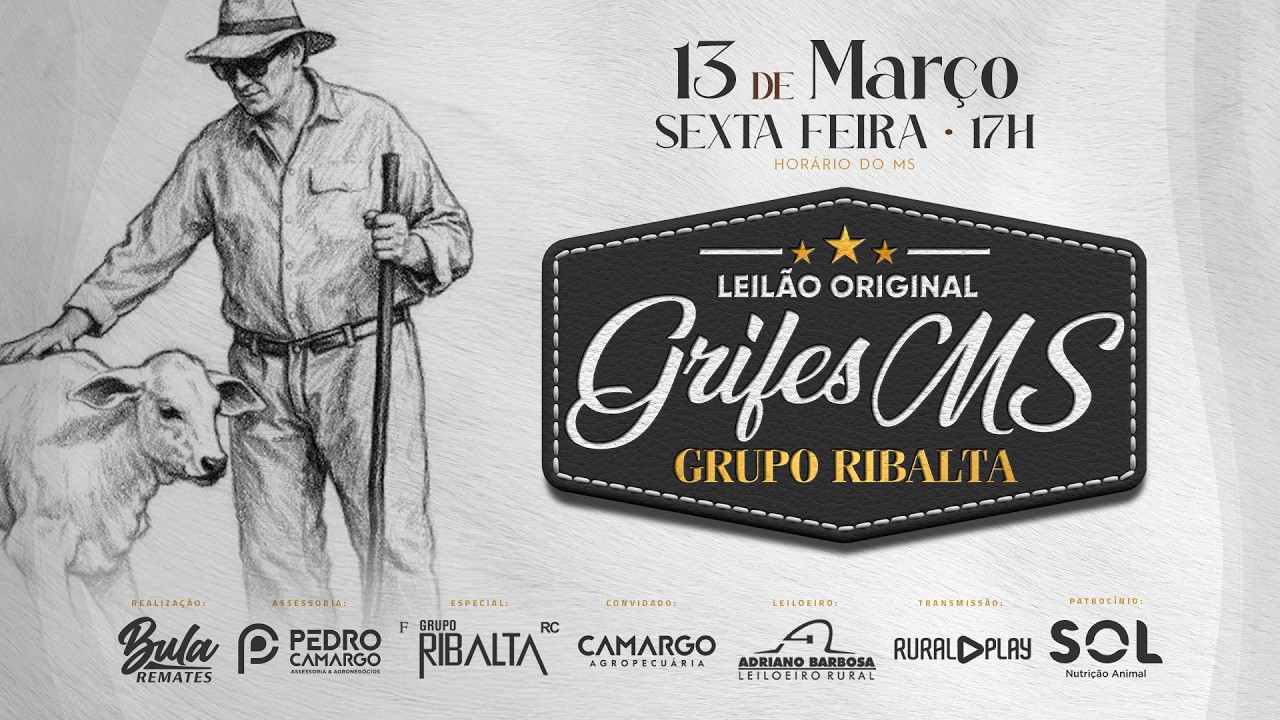LOTE 25