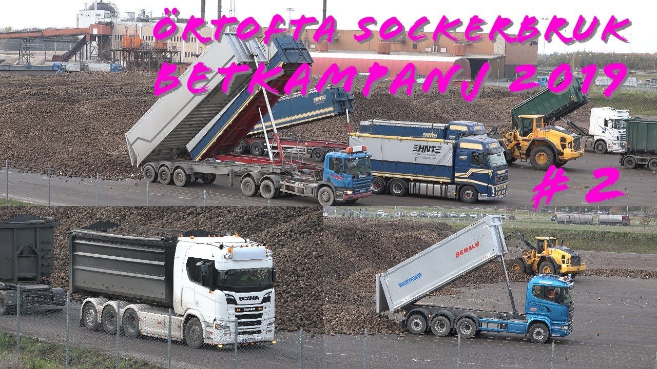Örtofta sockerbruk betkampanj 2019  #2  2019-11-01