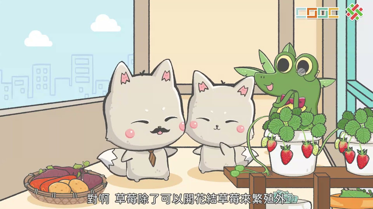 【討論】地瓜發芽了!?-植物的營養器官繁殖觀察