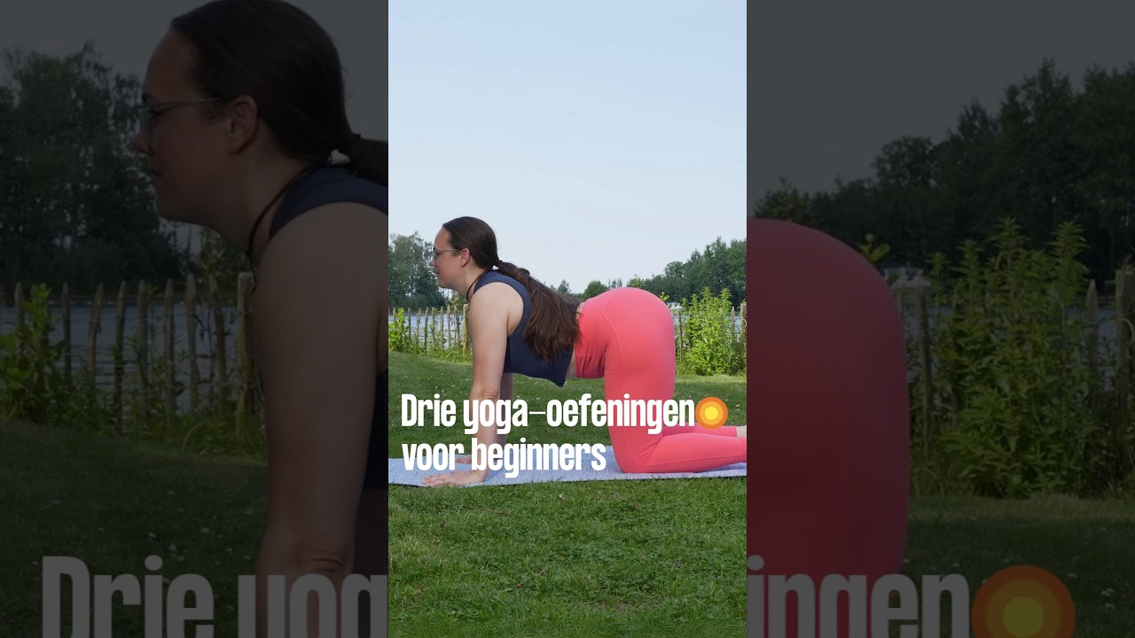 Yoga voor beginners | Zentijd | KRO-NCRV
