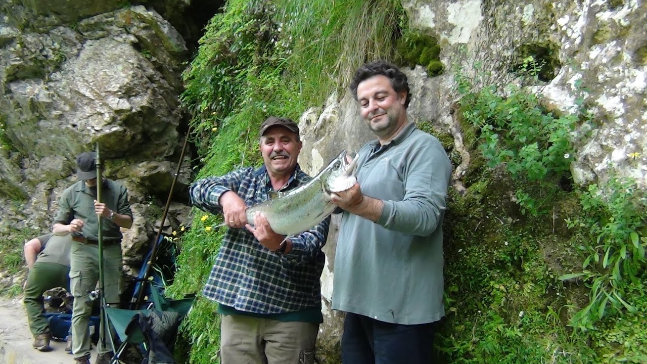 Pescando Salmón en los Cotos Puente Caldabones y Jaces en el Río Cares, en Asturias Paraíso Natural.