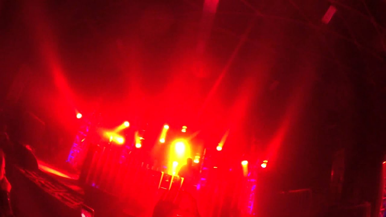 Bonobo HARD DAY OF THE DEAD