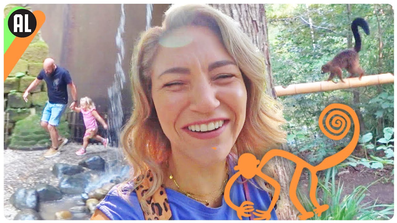 WATERVALLEN in de APENHEUL (vakantie) // Tjits Vlog #853