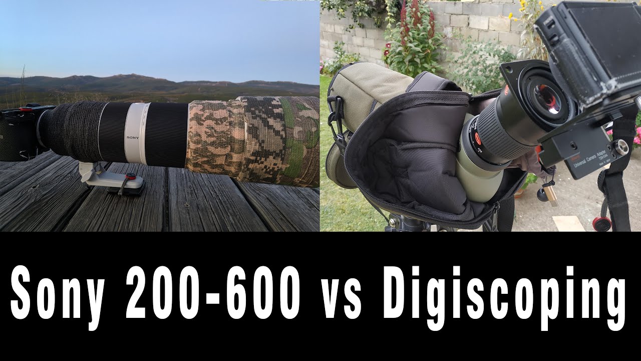 Sony 200-600mm f5.6-6.3 vs Digiscoping