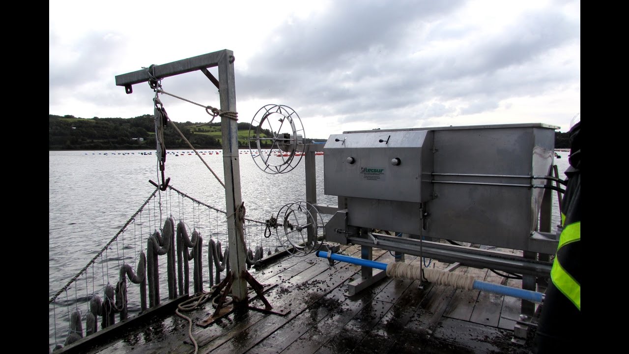Sembradora de chorito Aceros Tecsur Puerto Montt