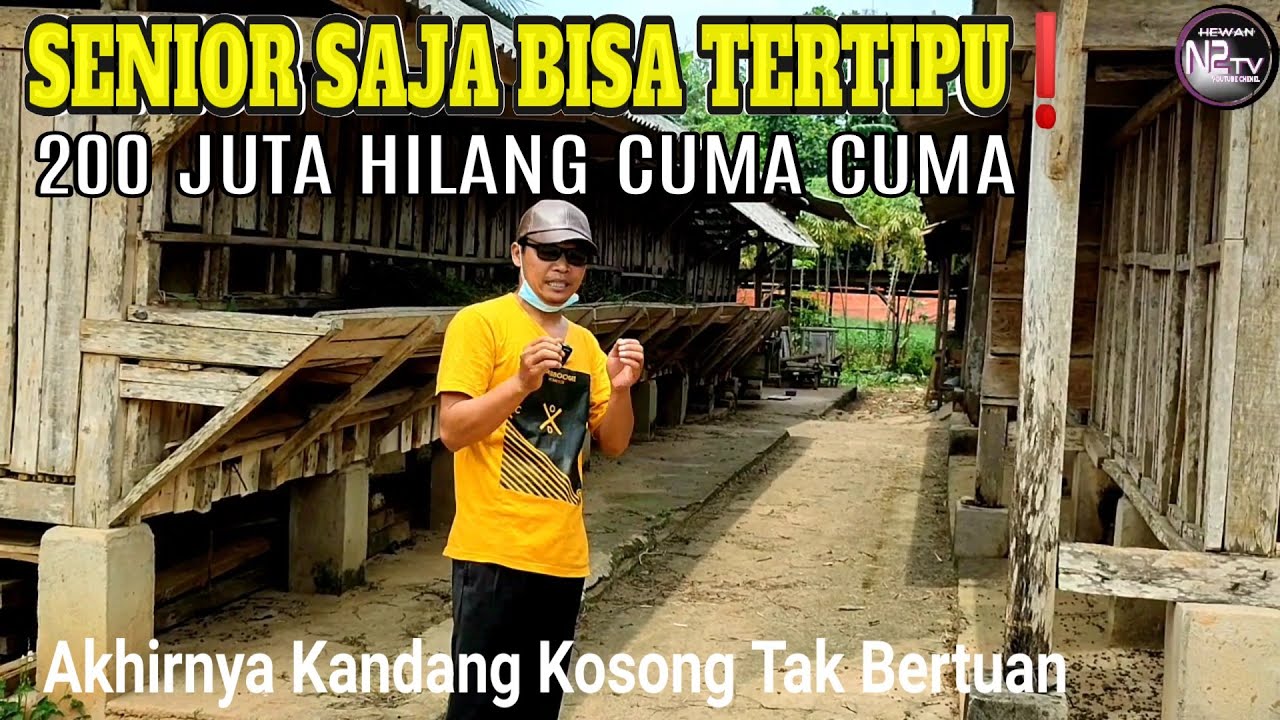 Ternak Kambing Itu Jauh Lebih Sulit Dari Informasi Manisnya Untung