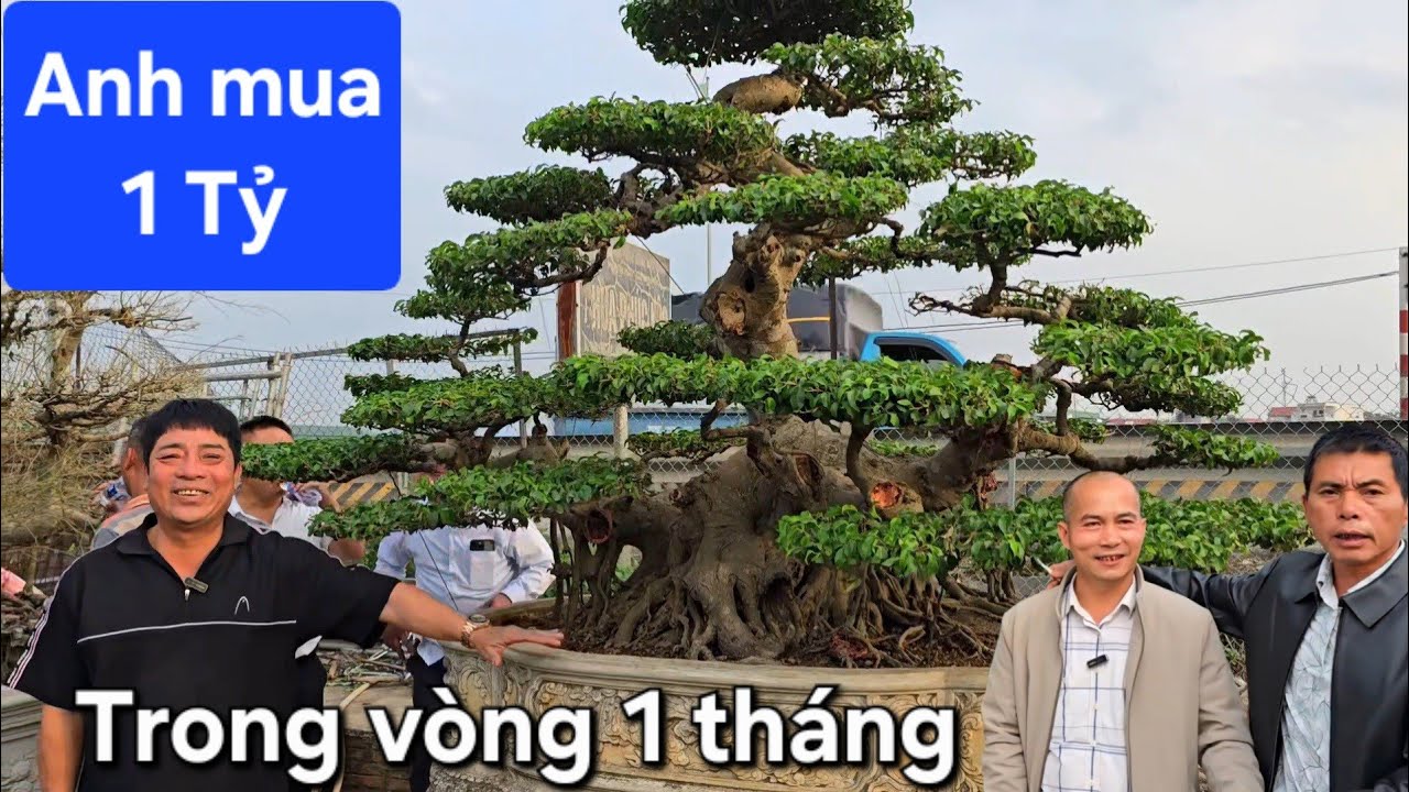 Trong vòng 1 tháng anh Chinh đã mua ủng hộ Phú Sự 1 tỷ tiền cây 