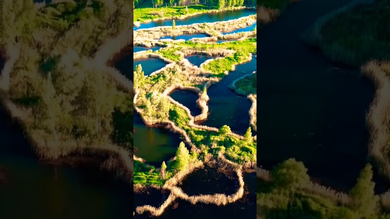 #naturallake #dronephotography #shortnaturevideo #musicvideo