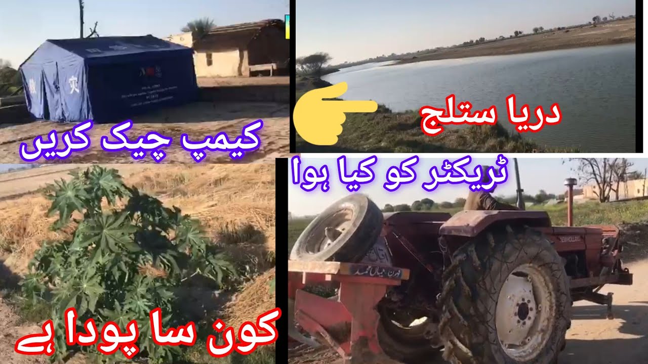 Dariya Dariya Satluj Ki Sair Mitthu TV