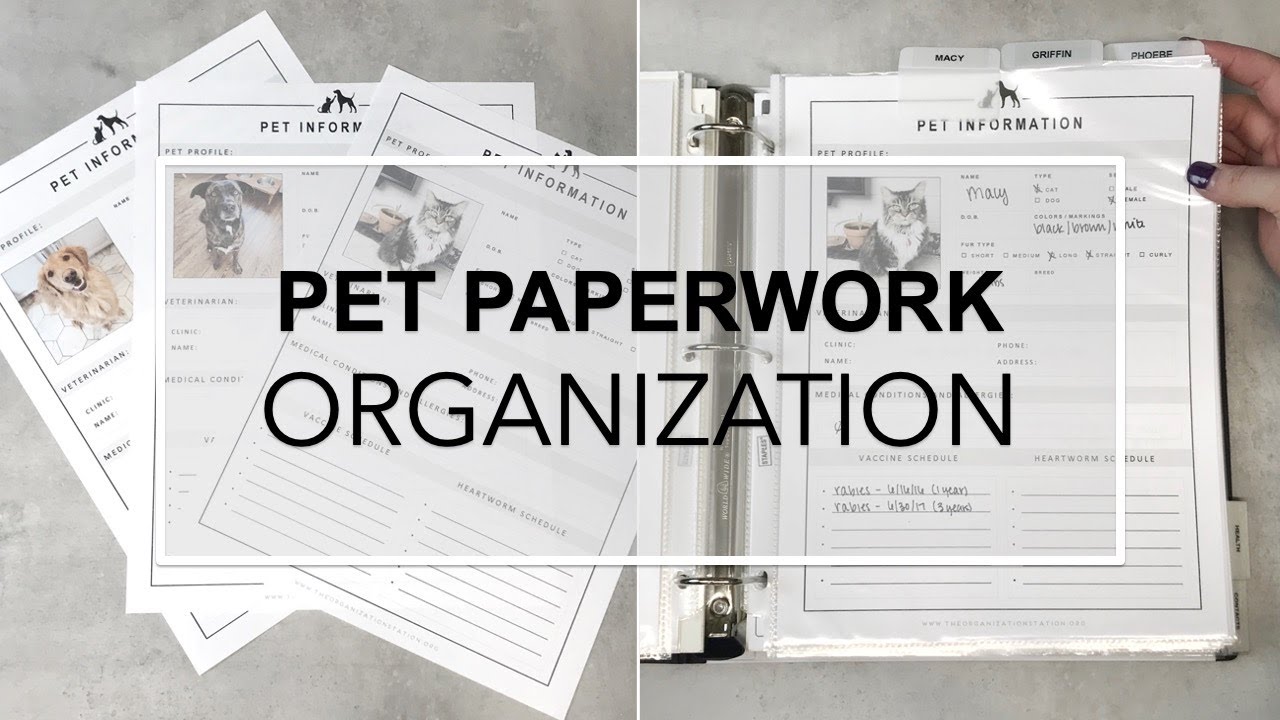 PET PAPERWORK ORGANIZATION - How to manage any records and documents for your pets