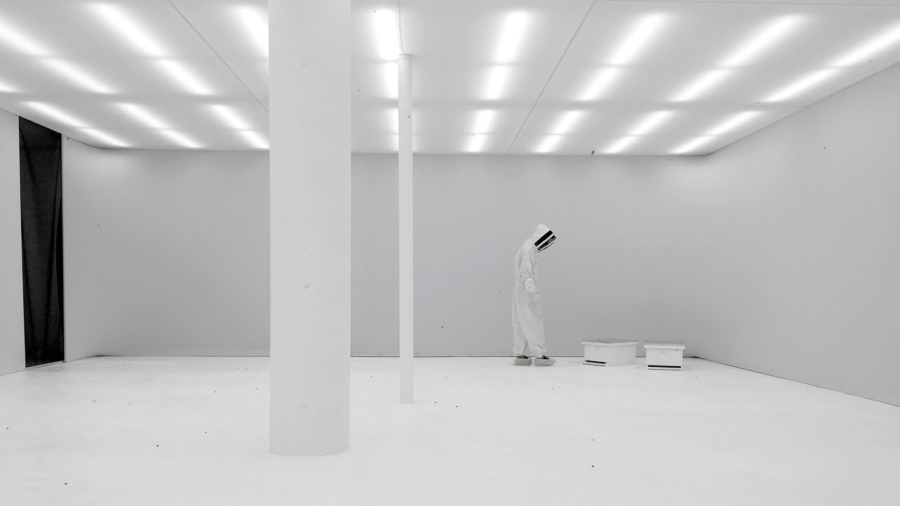 Synthetic Apiary