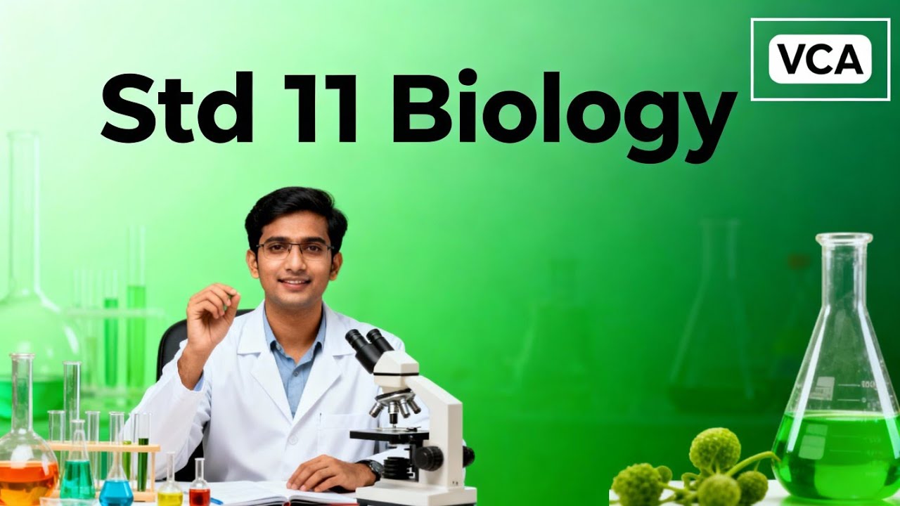 Std 11 Biology Chapter 14 Breathing 