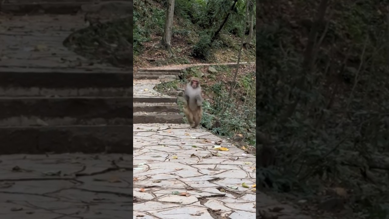 His running 