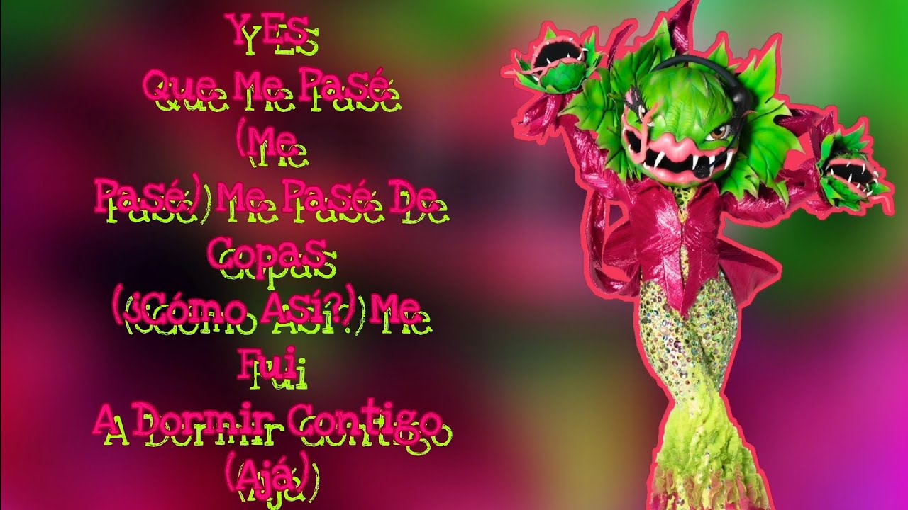 Carnívora Performance 