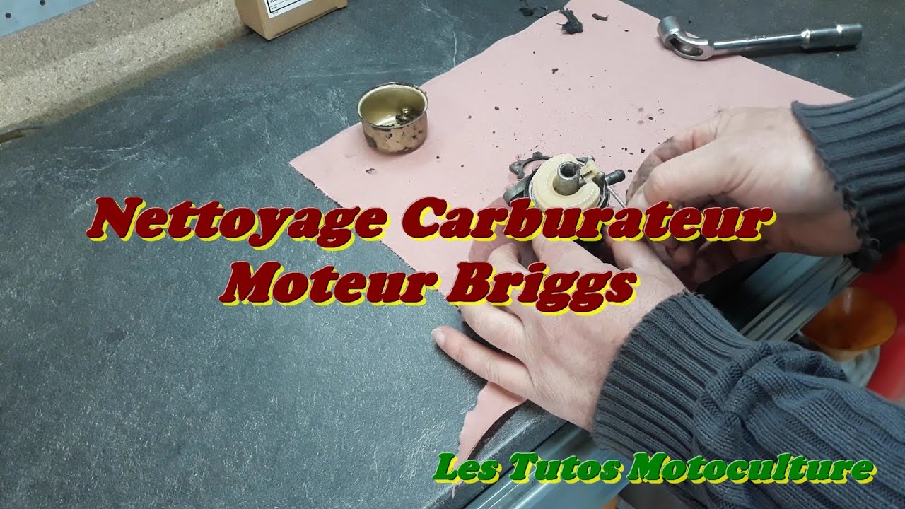 Nettoyage Carburateur Tondeuse Briggs ( Quantum )