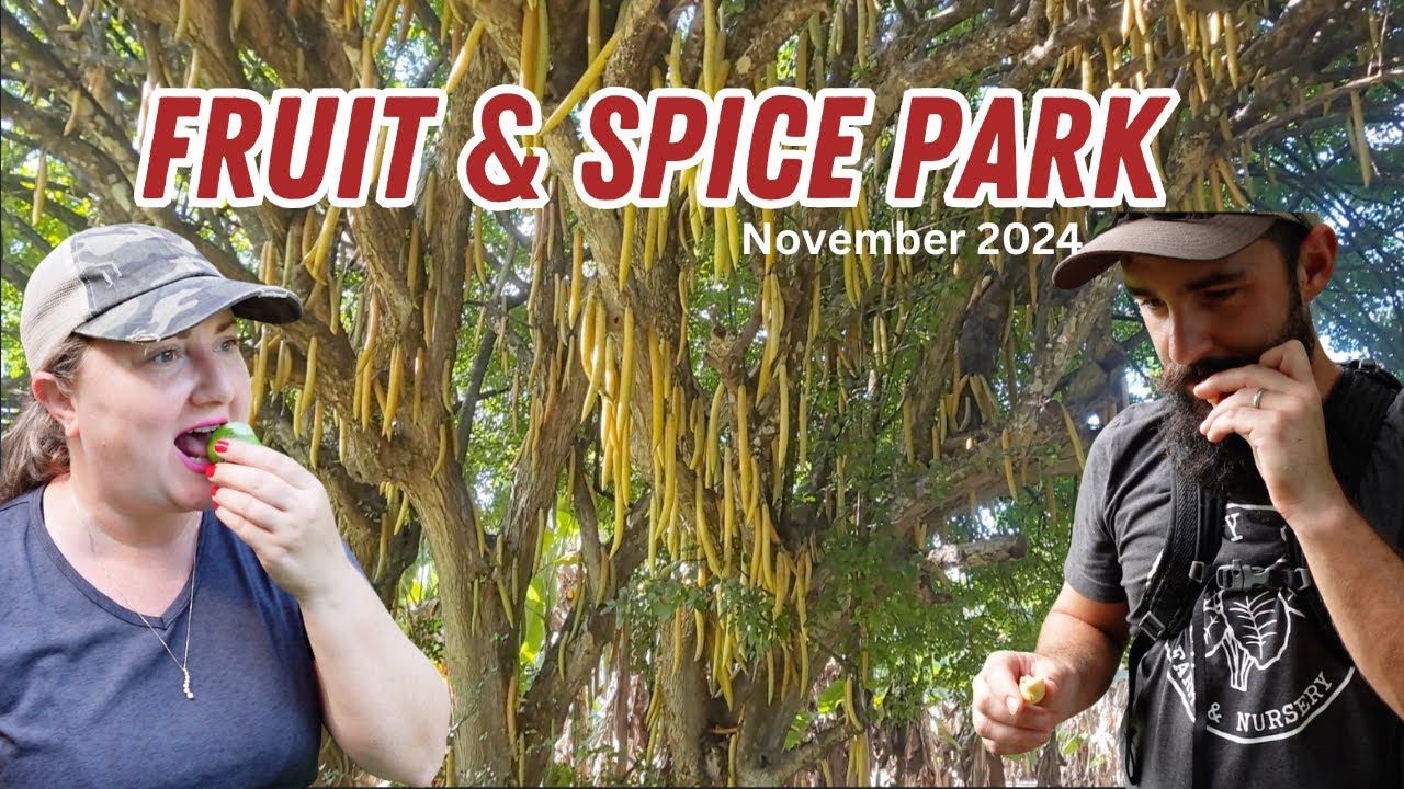 Exploring FRUIT & SPICE PARK Again: Tasting Rare Fruits Like ACKEE, QUAJILOTE & More!