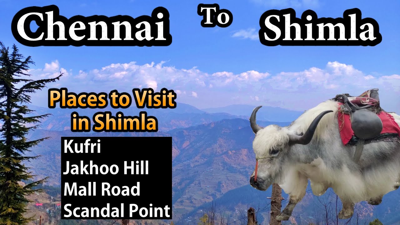 Chennai to Shimla Budget Trip in Tamil | Shimla Tourist Places in Tamil | Places to visit in Shimla