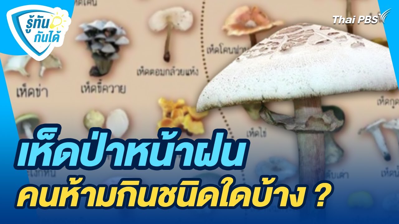 เห็ดป่าหน้าฝน คนห้ามกินชนิดใดบ้าง ? | รู้ทันกันได้ | วันใหม่วาไรตี้