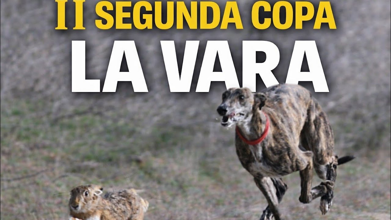 II COPA 