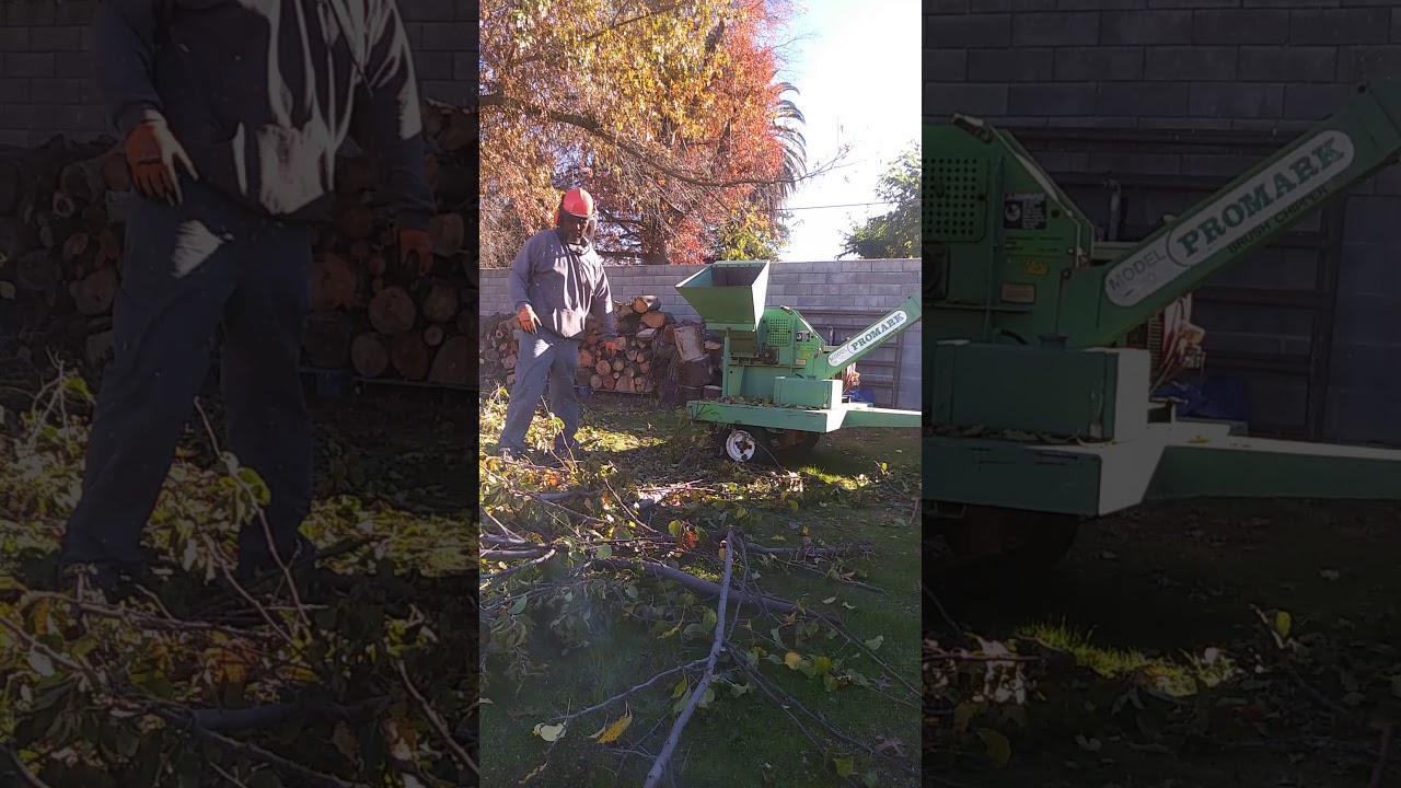 Pro Mark 210 chipper . 18 hp Koehler electric start. 6 inch capacity