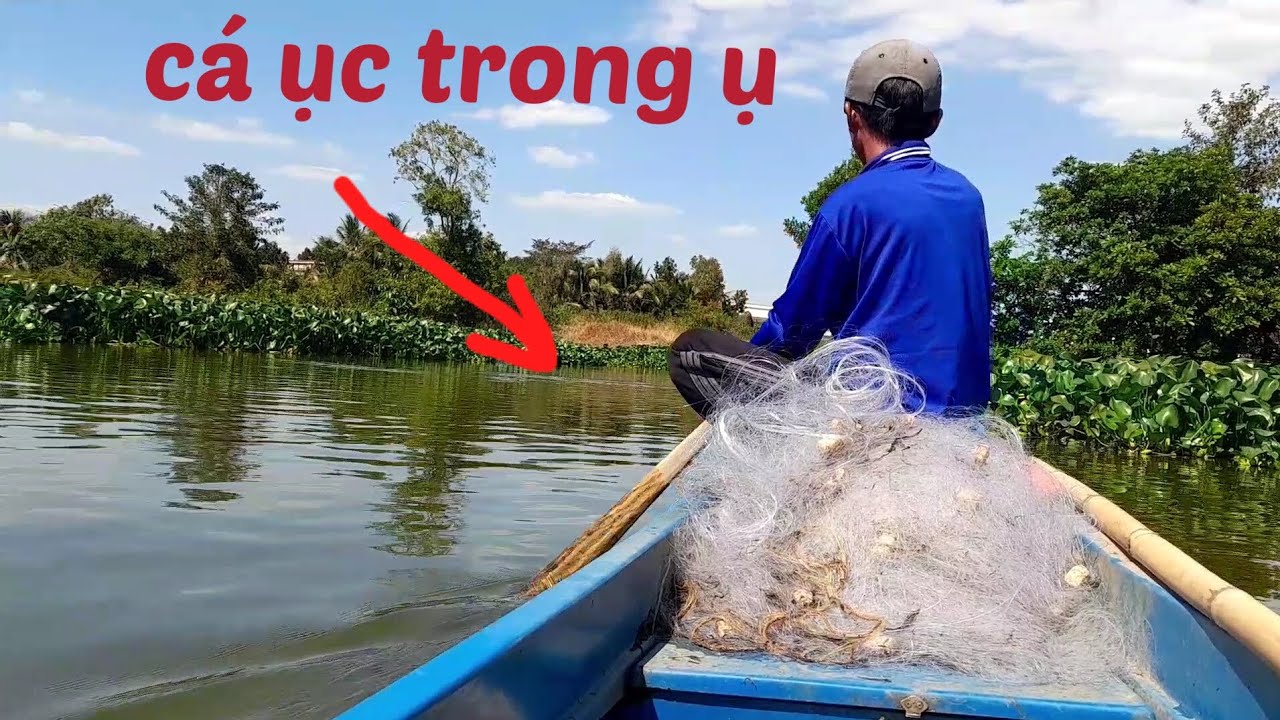 @ phát hiện cá ục bao lưới dính cá dồ nút quá êm 