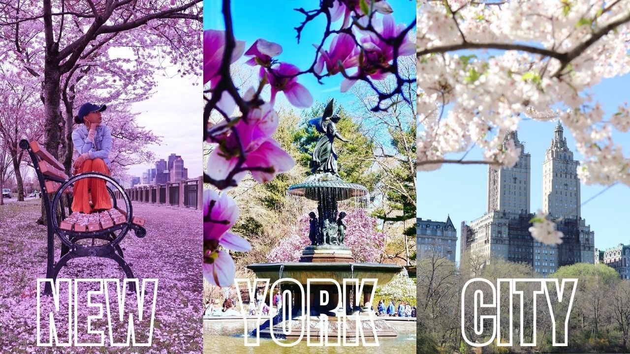 PRIMAVERA EN NEW YORK 🌸😍 | English subtitle | #newyorkbyliz