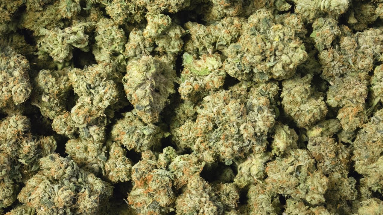 Virginia legalizes the recreational use of marijuana