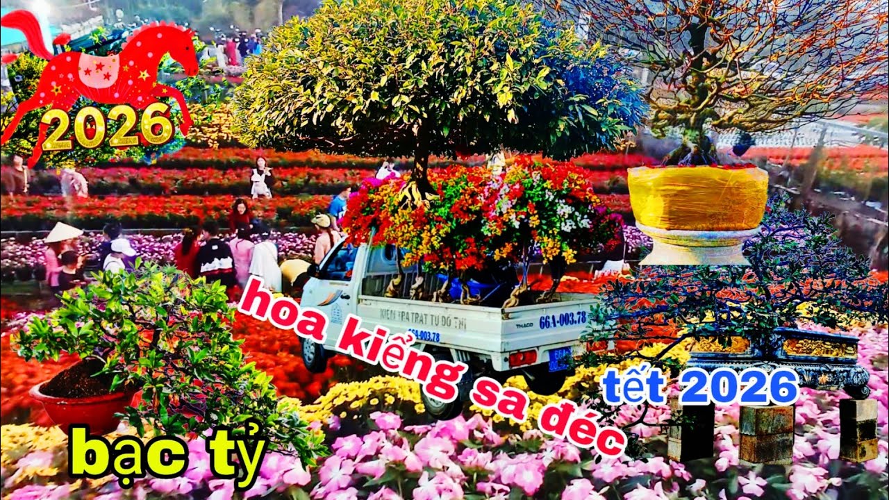 hoa 