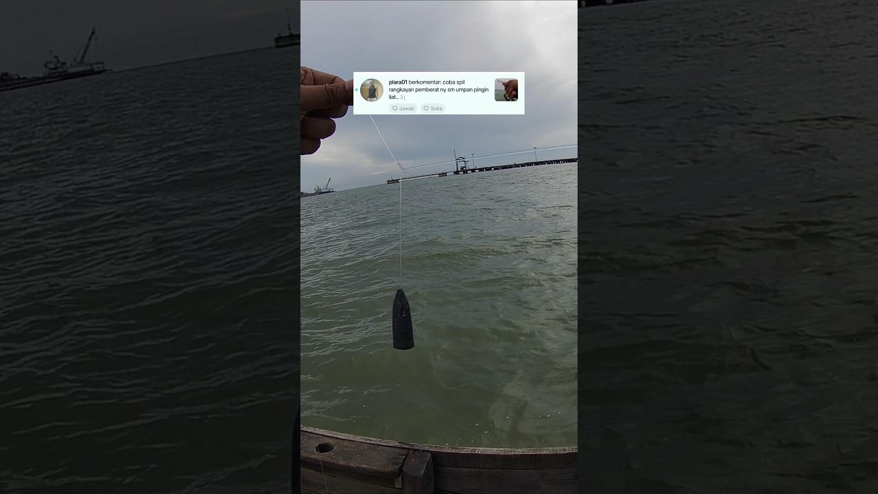 Rangkaian mancing ikan senangin yang gacor di spot daerahku #mancing #mazagofishing