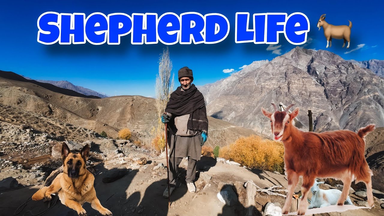 Shepherd's Life With Goats | Nature, Hard Work and Pure Living 