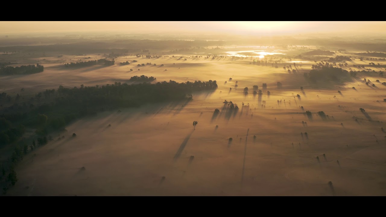 Strabrechtse Heide 4K
