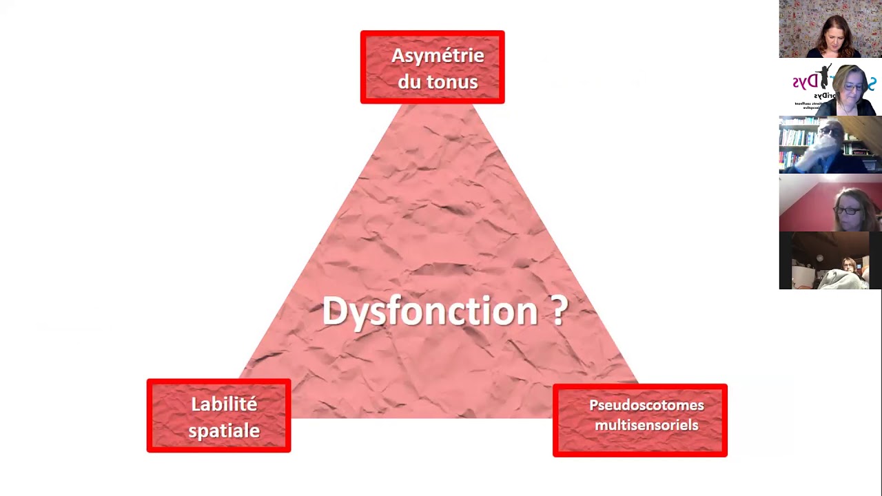La dysproprioception avec le Prof. P. Quercia