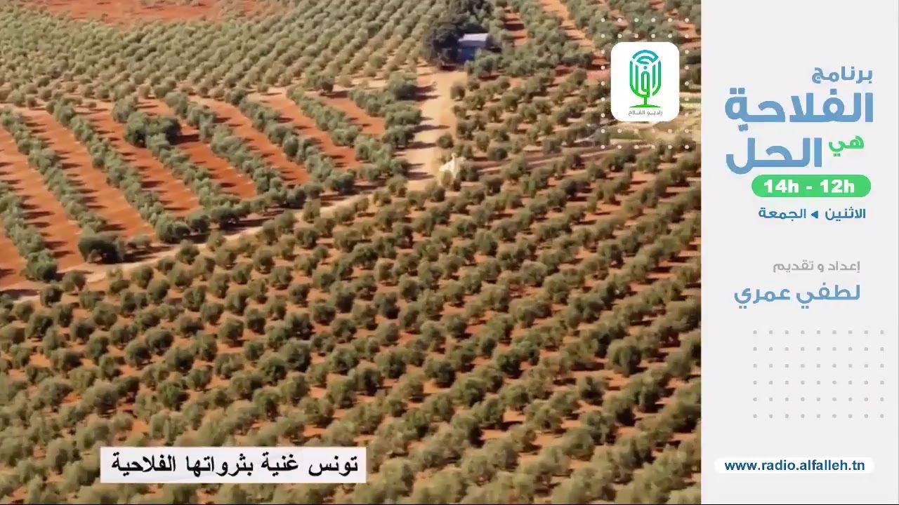 ضيف  الحلقة : الصافي سعيد