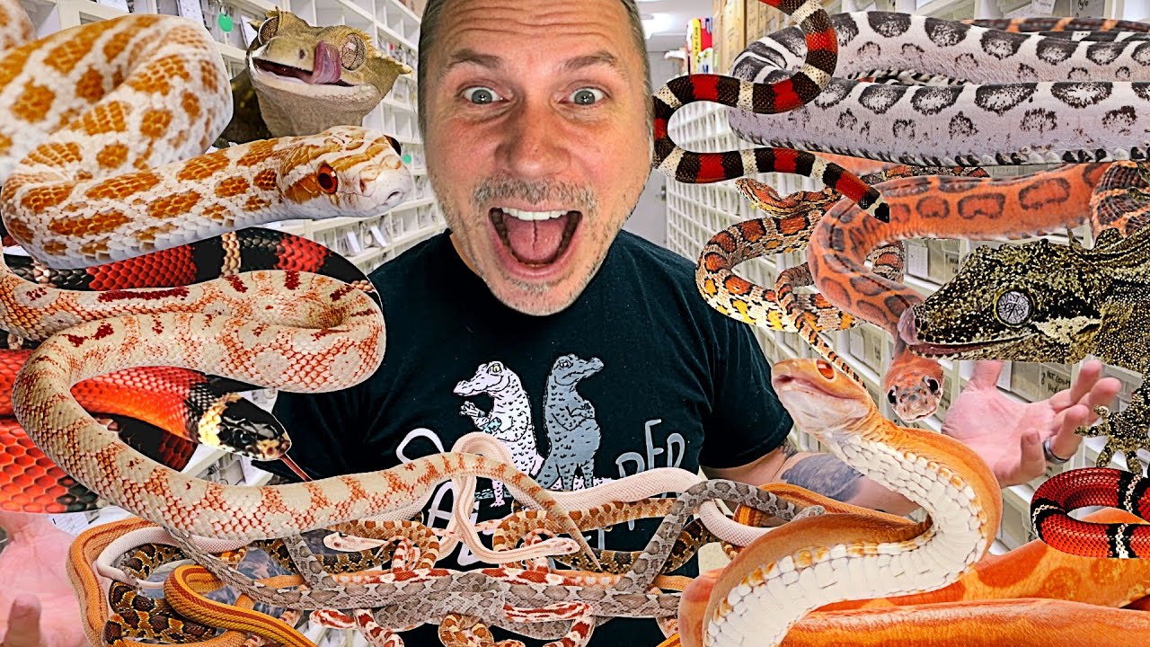 BHB REPTILE ROOM FULL TOUR!! UNCUT!! | BRIAN BARCZYK