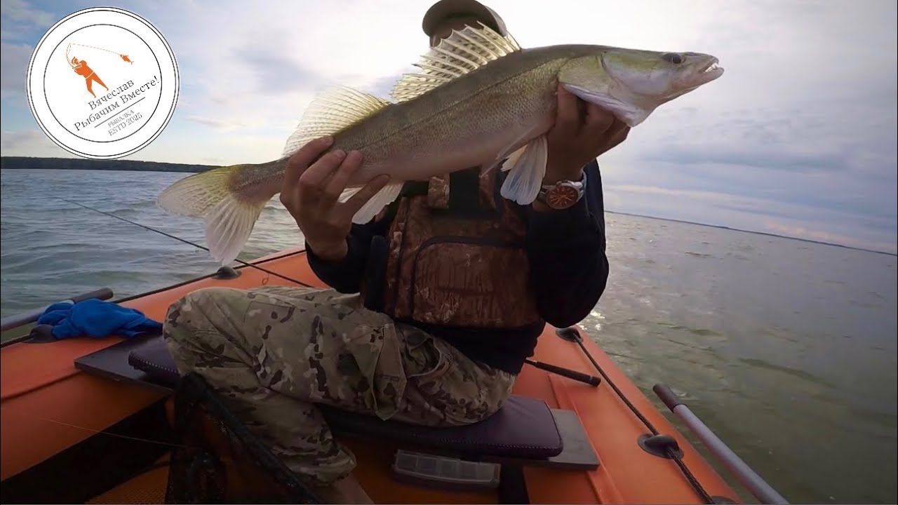 Рыбалка на Обском водохранилище — Судак очень порадовал! 🐟