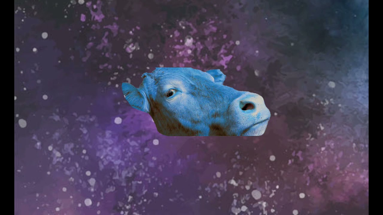 Vacatarius Signo del Zodiaco ☮ Caracteristicas de la Vaquita!!! Horospoco