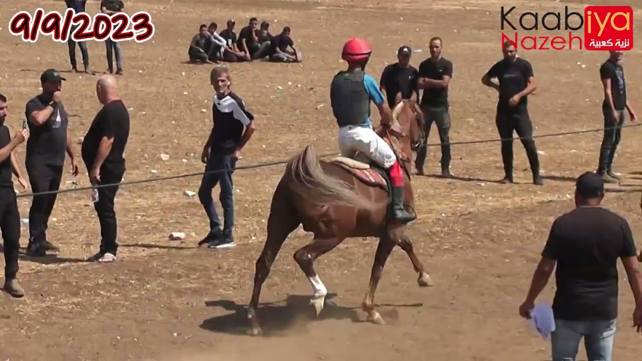 SHAMECH AL FAWAZ . AL RAHEB AA BY LAHEEB & I.K. KAMILLA BY IMPERIAL IMDAL الحصان العربي شامخ الفواز