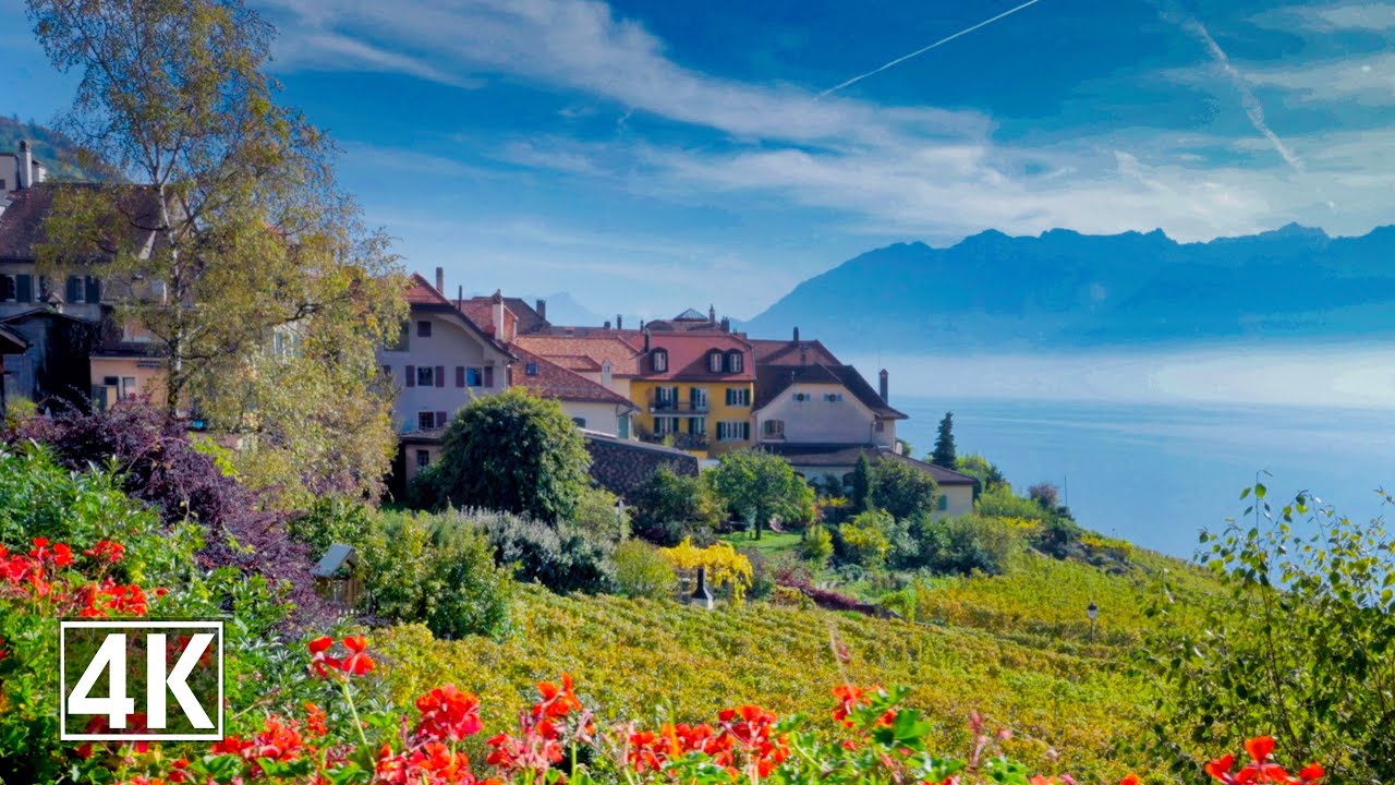 Epesses, One of the Most Beautiful Villages in Switzerland 🇨🇭 Lake Geneva, Lavuex, The Alps