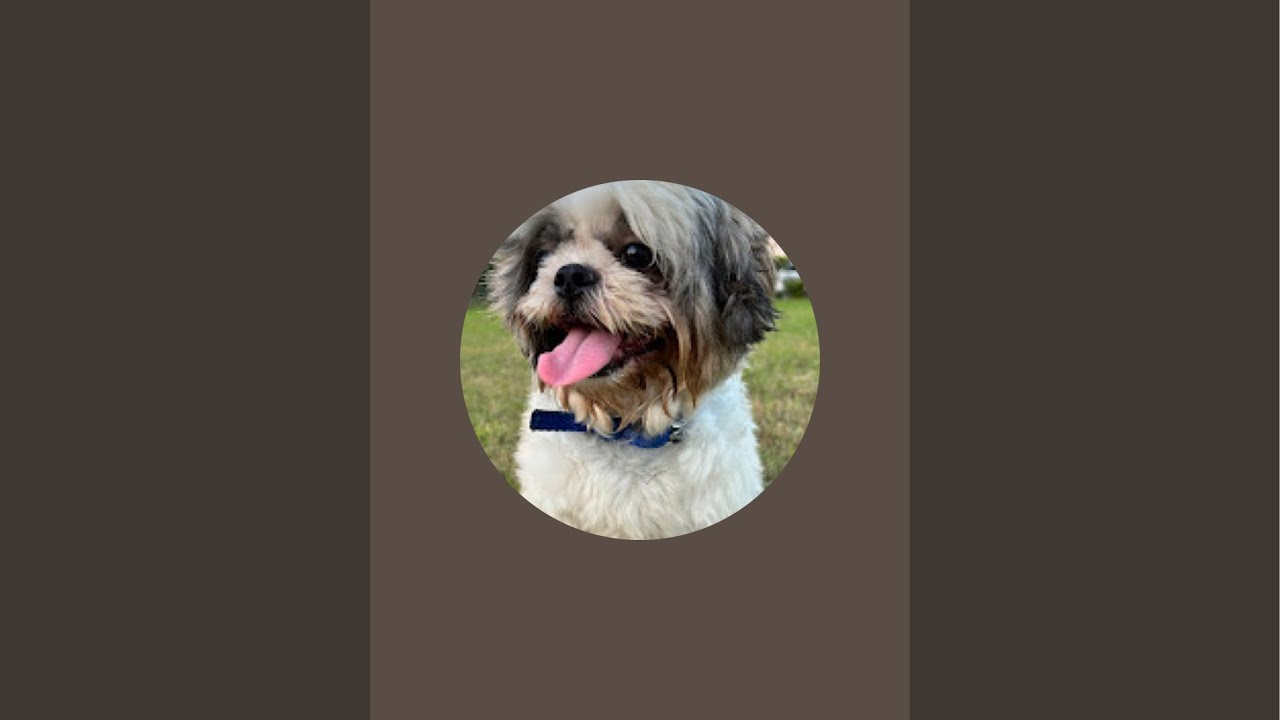 writing names💕😍#trending #writingcommunity #writingnames #puppiesofinstagram