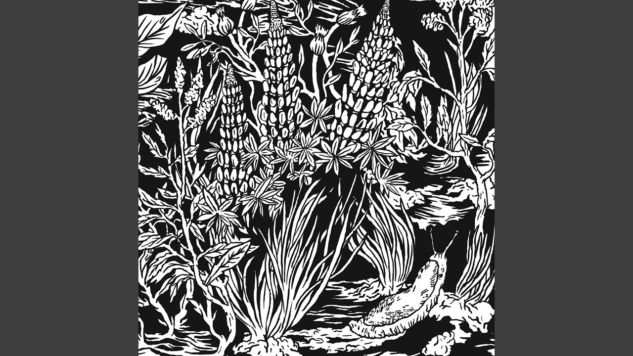 Enchanter's Nightshade