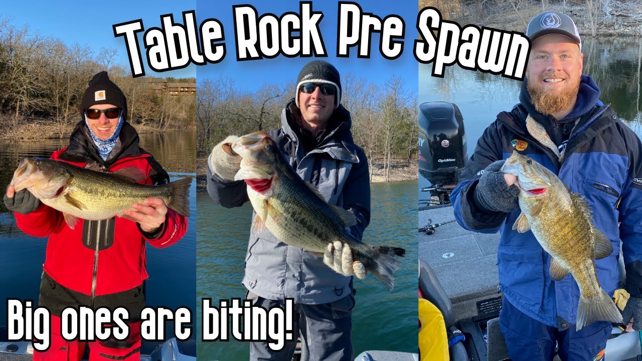 Pre Spawn Bass | Mid March | Table Rock Lake