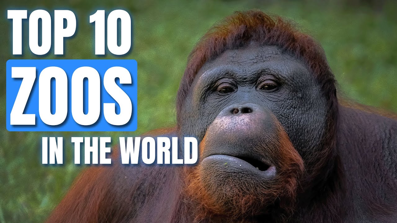 Top 10 Zoos in the World You Must Visit!