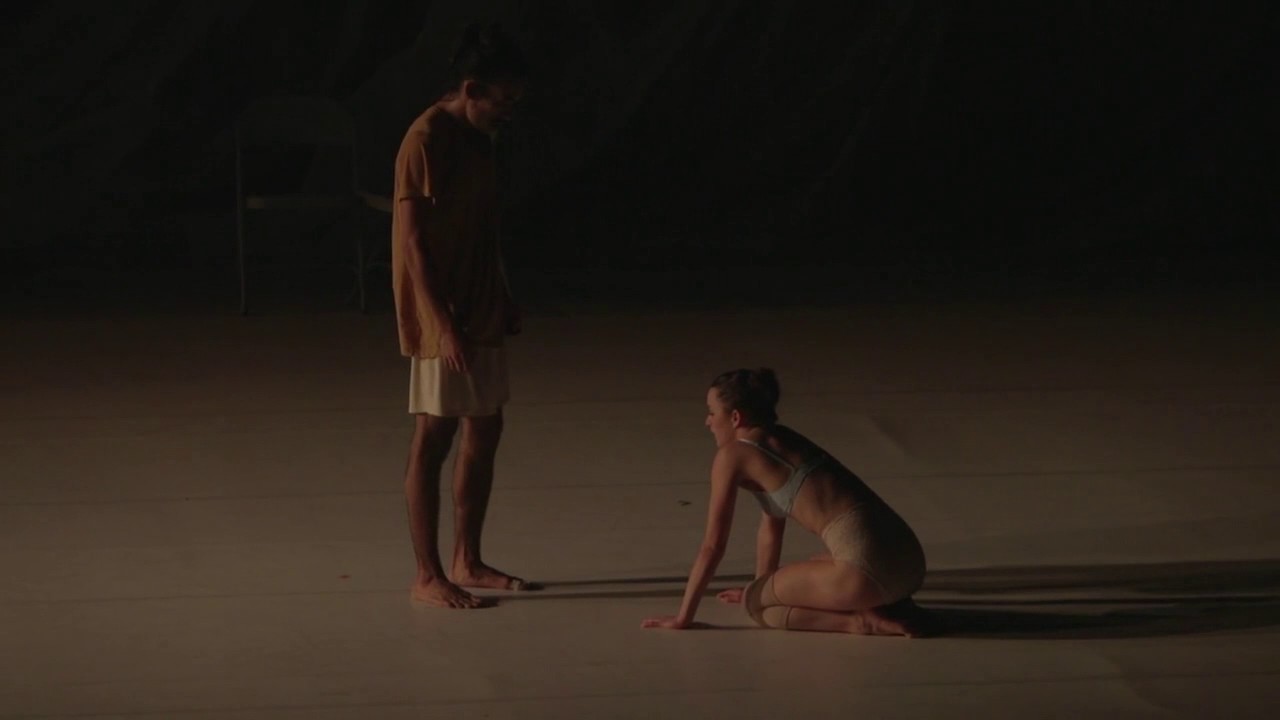 Gallim Dance | Whale | 2015 Premiere at The Joyce Theater (+15 minutes)