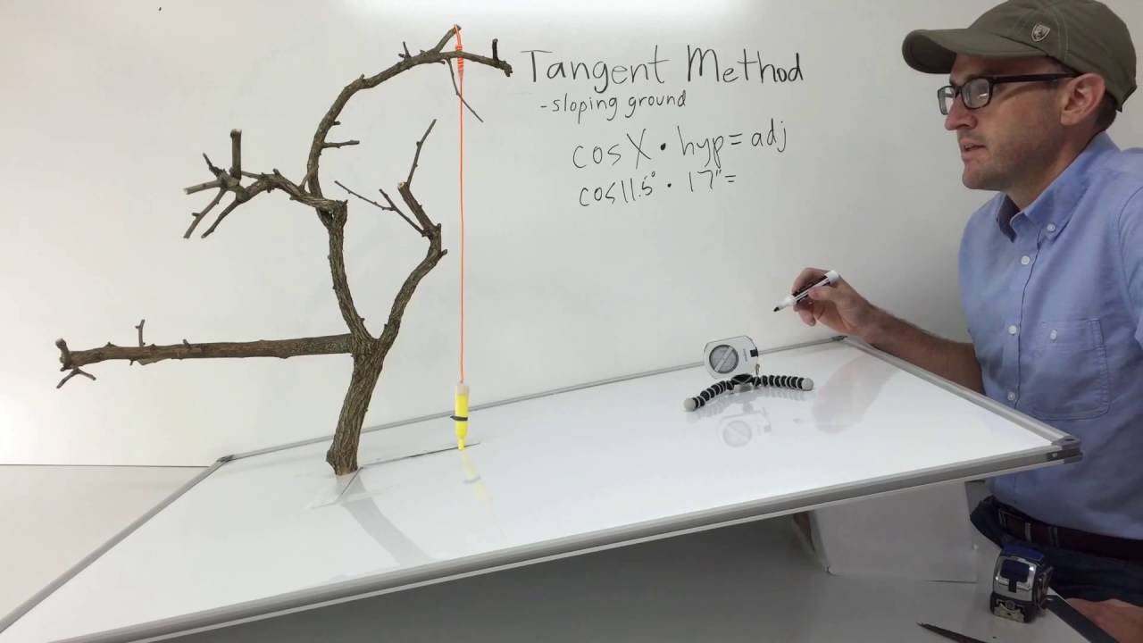 Tangent Method on Sloping Ground | Video Series on Tree Height Measurement