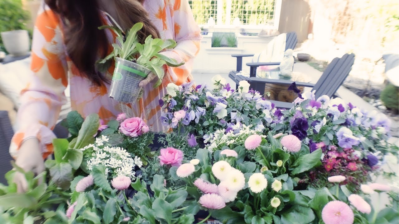 COZY SPRING container gardening - suburban gardening