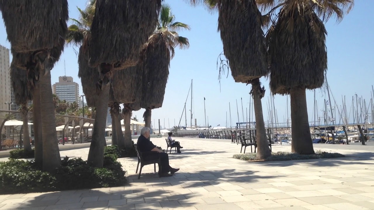 Cлушаем пение птиц на берегу. Marina Tel Aviv