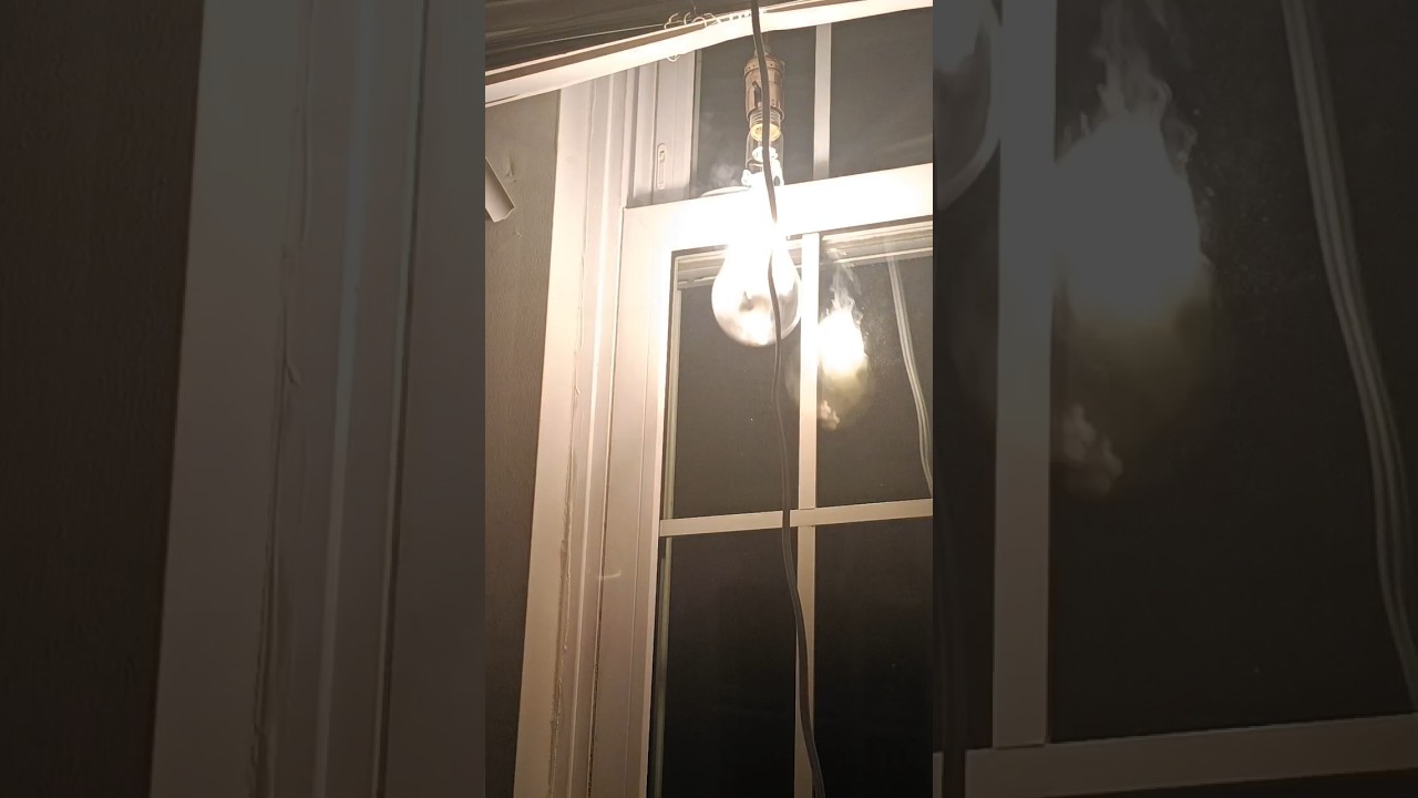 Забавная лампа накаливания