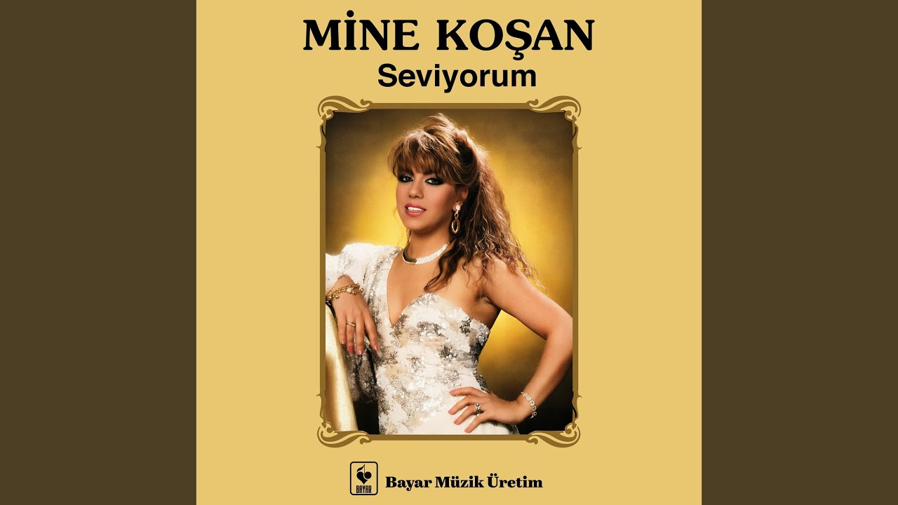 Hiç Sevmedin ki