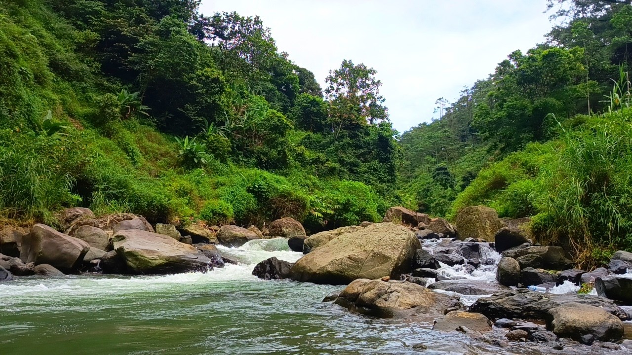Relaxing River in the Mountains | Nature Sounds for Better Sleep